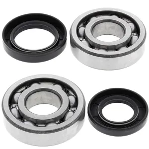 All Balls 24-1005 Crank Bearing Kit and Seal Kit