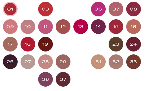 Bourjois rouge velvet edition(27 color)