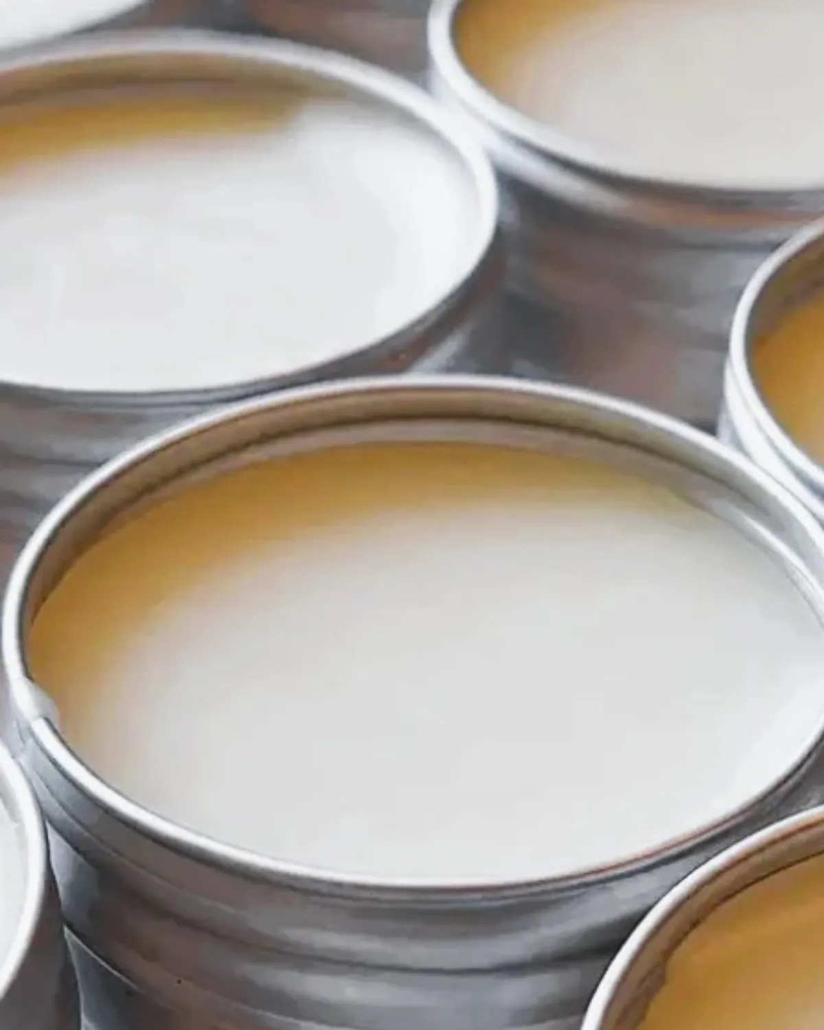 Chamomile Lip Balm (15ml)