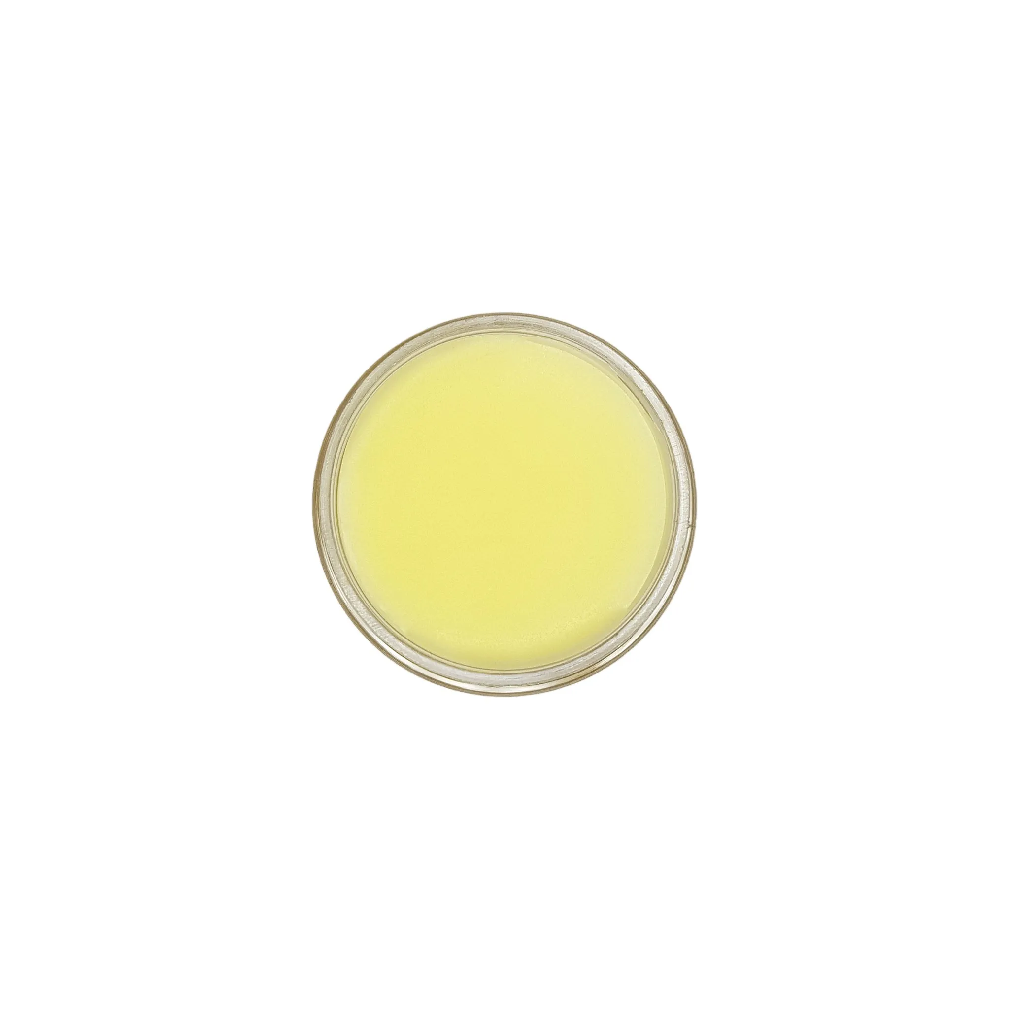 Coco Mango Lip Balm