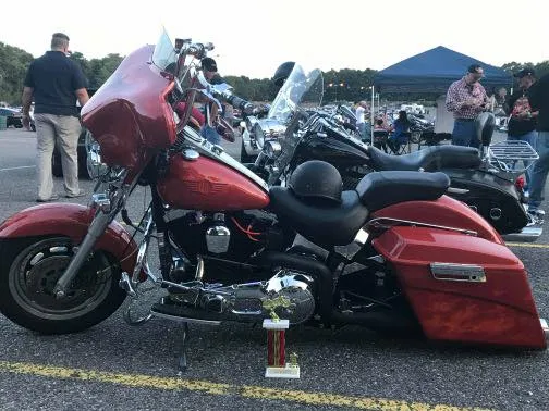 Custom Batwing Headlight Fairing