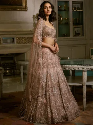 Dust Pink Nikolina Lehenga Set