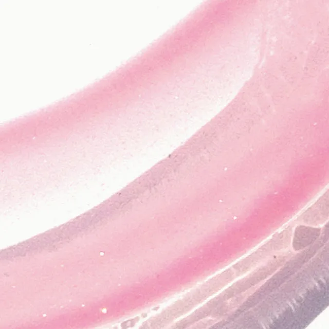 Ere Perez | Mango Lip Honey in Pop - 3ml