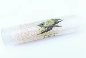 Eucalyptus