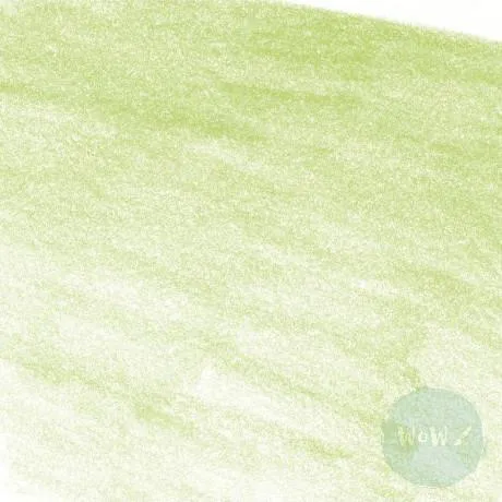 Faber-Castell Albrecht Durer Artists Watercolour Pencil - May Green (170)
