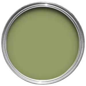 Farrow & Ball Olive Paint 13