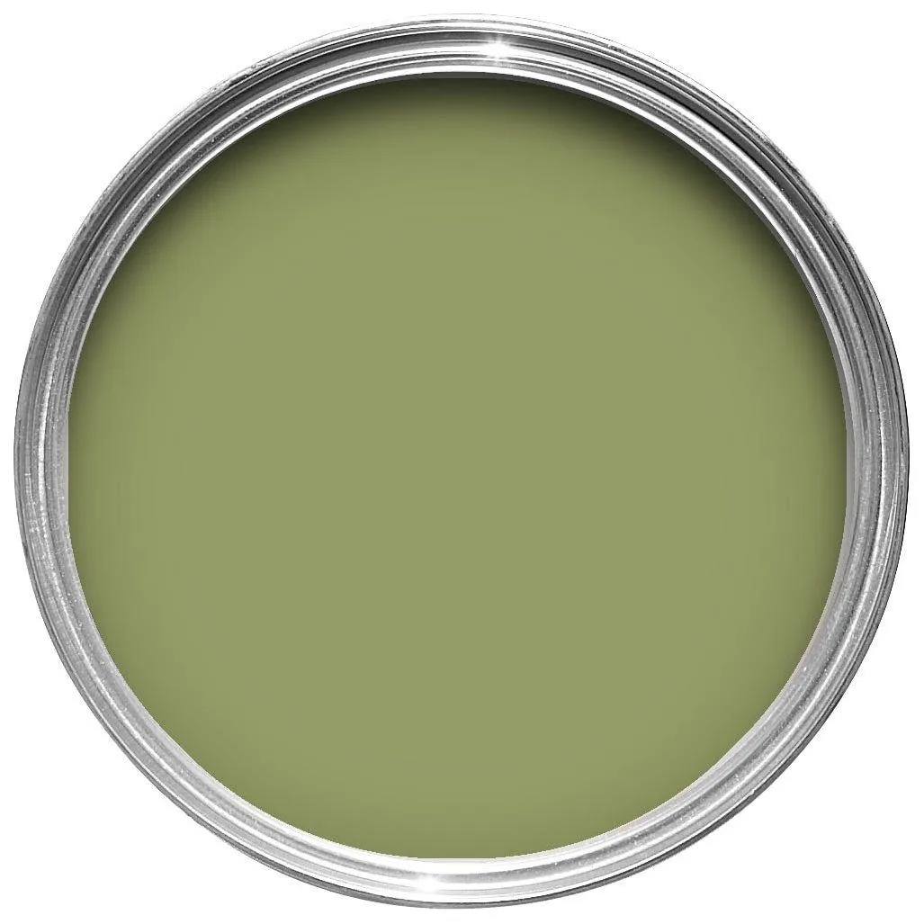 Farrow & Ball Olive Paint 13