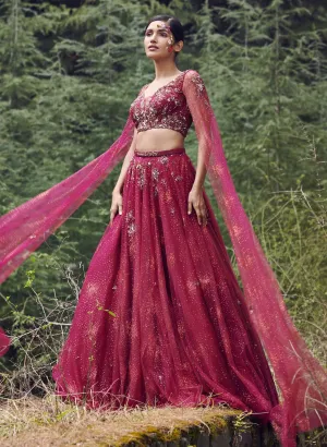 Ivanna Shimmer Tulle Lehenga Set