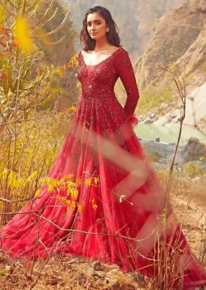 Liaah Plum Tulle Gown