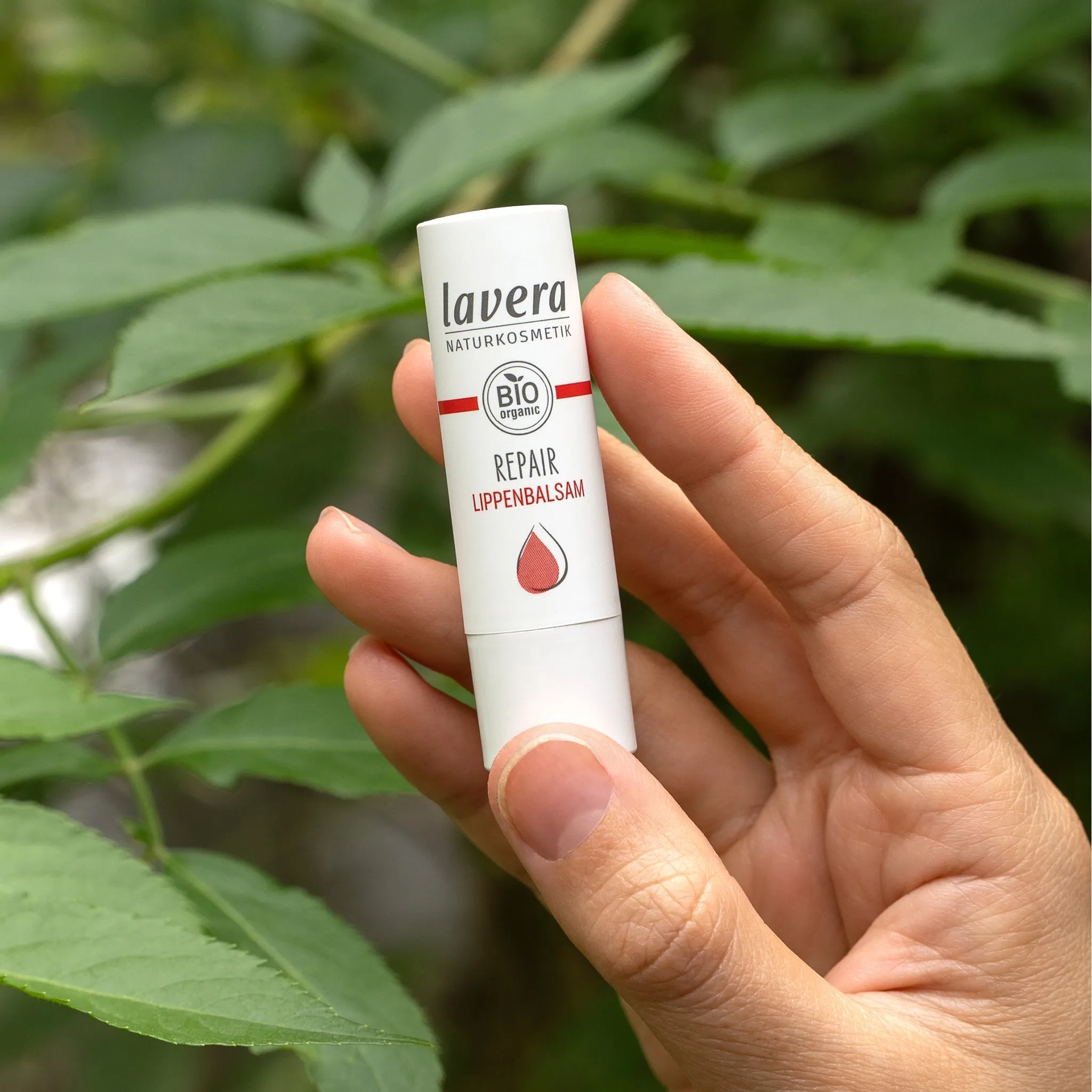 Lip Balm | Repair