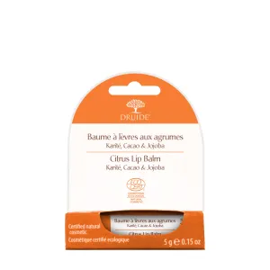 Lip Balm Shea Butter & Citrus