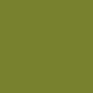 Little Greene Citrine Paint 071