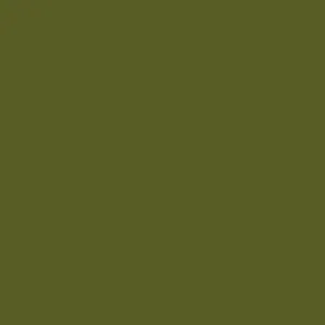 Little Greene Jewel Beetle Paint 303