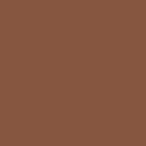 Little Greene Muscovado Paint 343