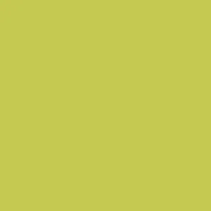 Little Greene Pale Lime Paint 070