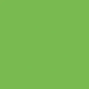 Little Greene Phthalo Green Paint 199