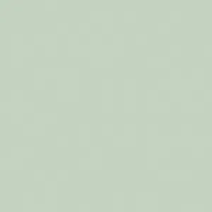 Little Greene Salix Paint 099