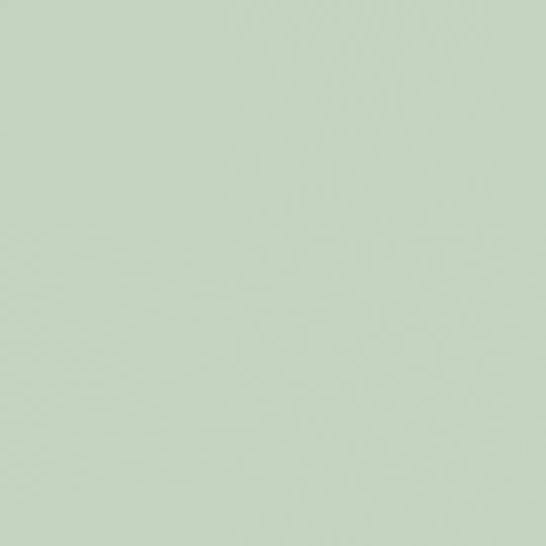 Little Greene Salix Paint 099