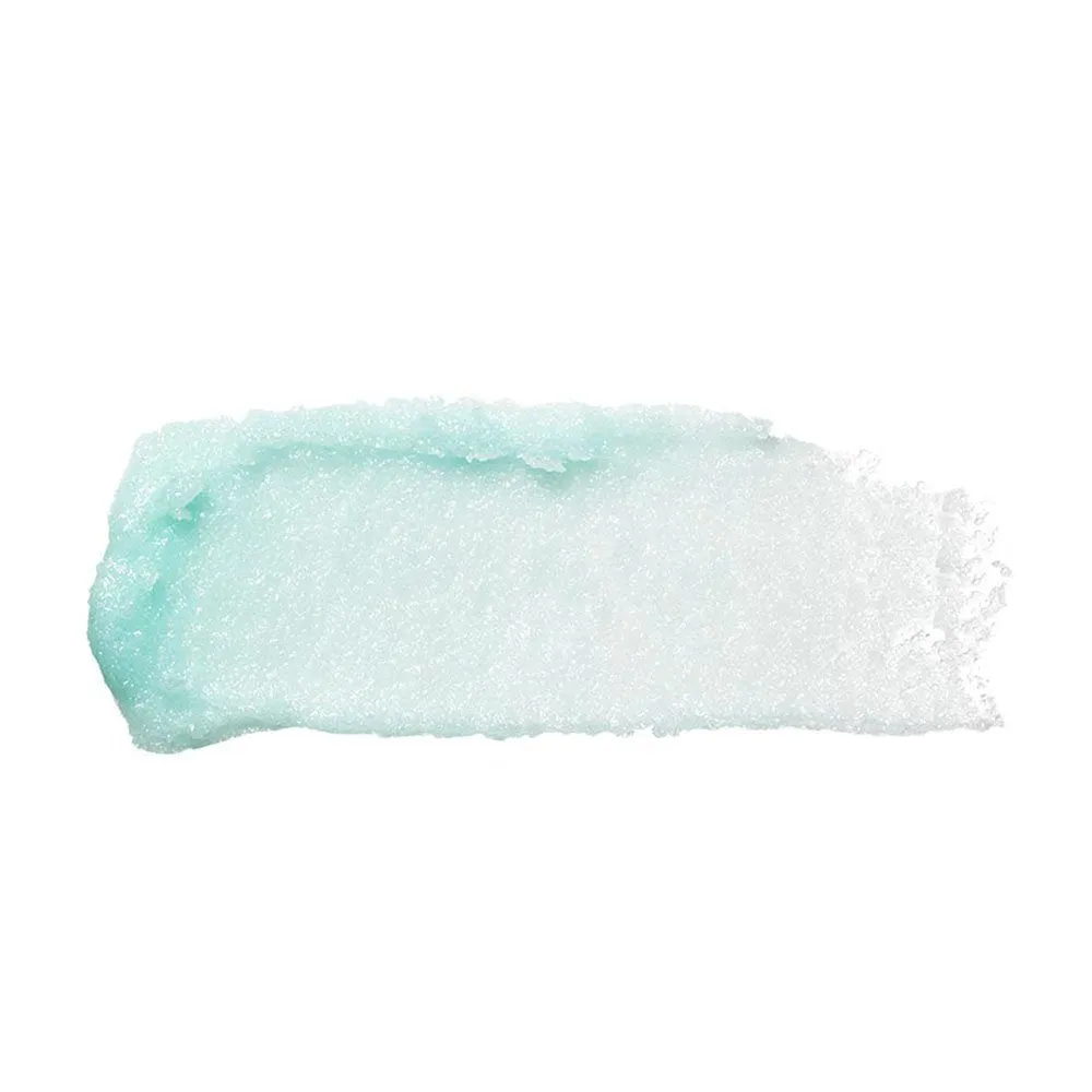 Pack of 2 E.l.f. Lip Exfoliator, Mint Maniac 82512