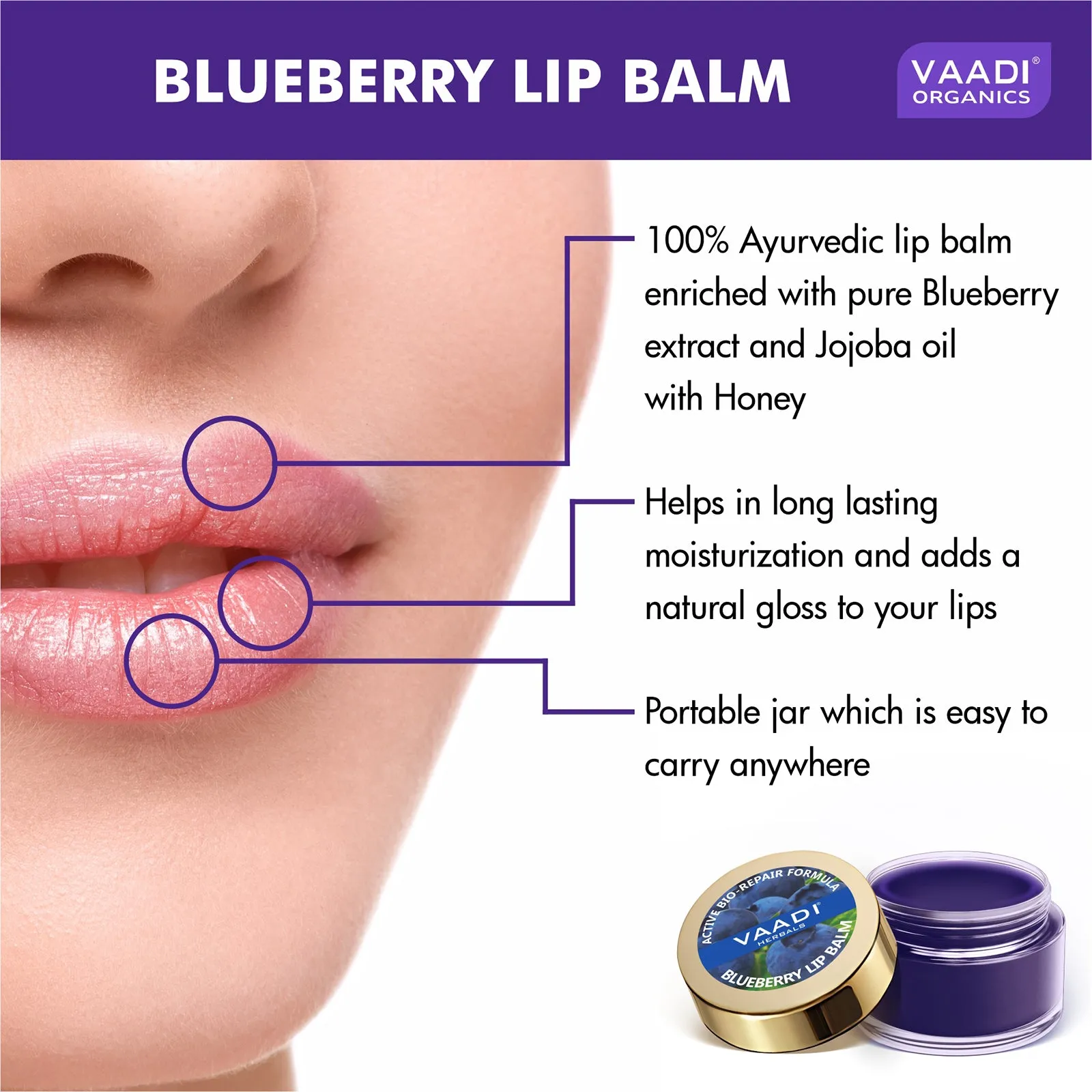 Pack of 4 Lip Balm - Blueberry (10 gms x 4)