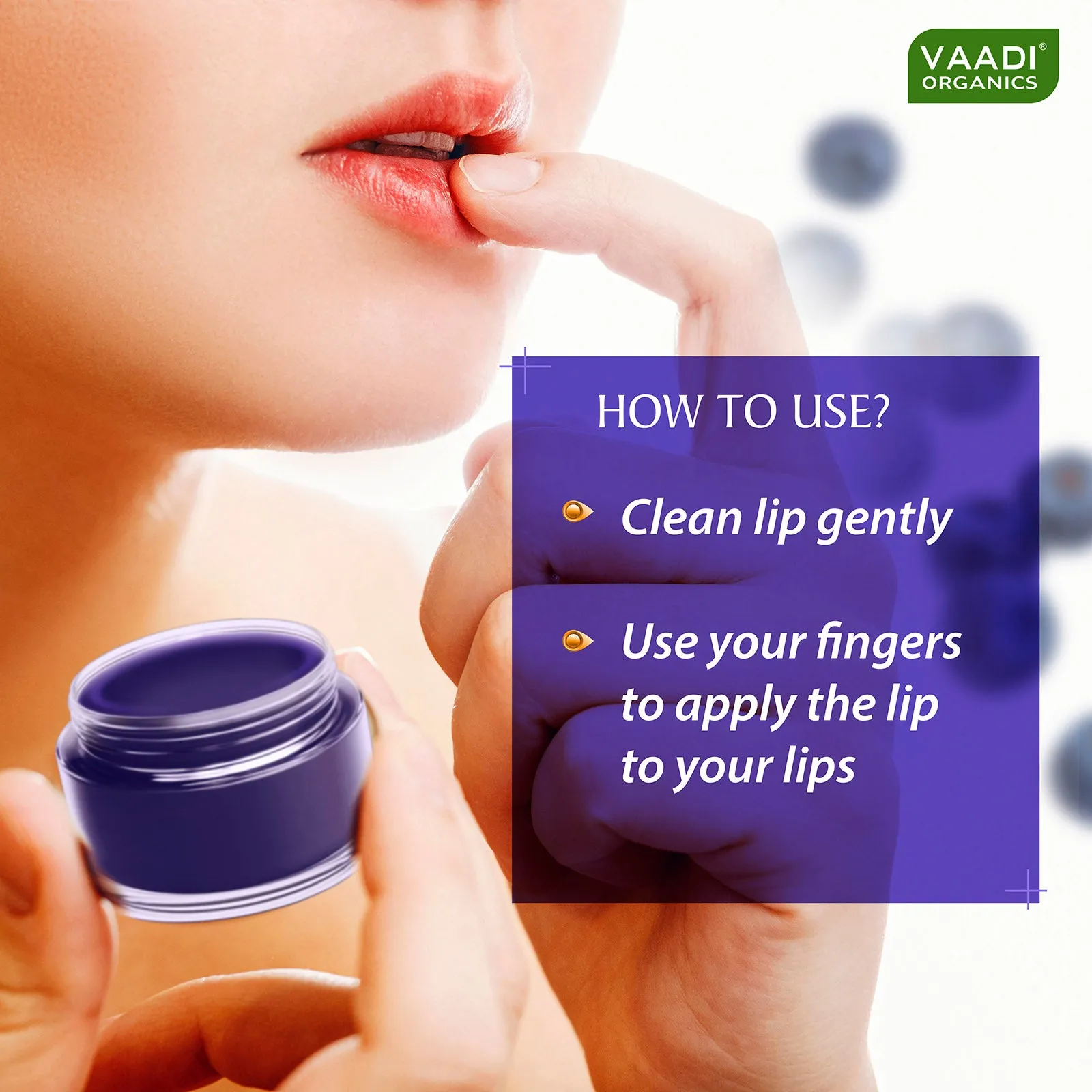Pack of 4 Lip Balm - Blueberry (10 gms x 4)