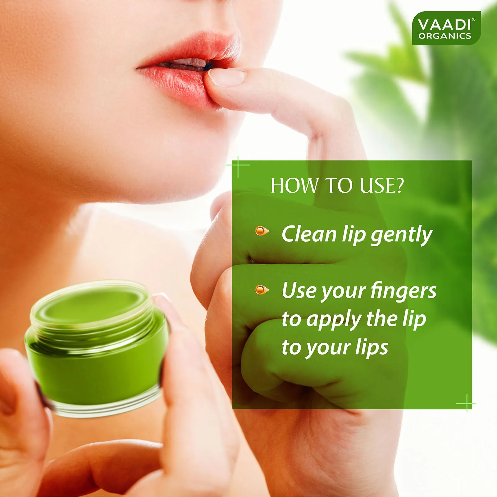 Pack of 4 Lip Balm - Mint (10 gms x 4)