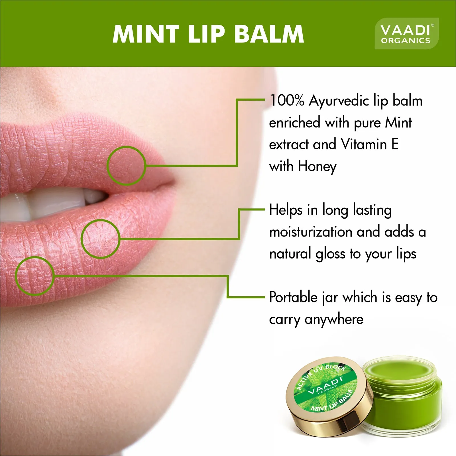 Pack of 4 Lip Balm - Mint (10 gms x 4)
