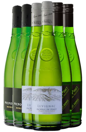 Picpoul de Pinet Sampler Case
