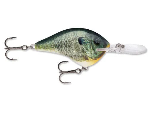 Rapala DT (Dives-To) Series