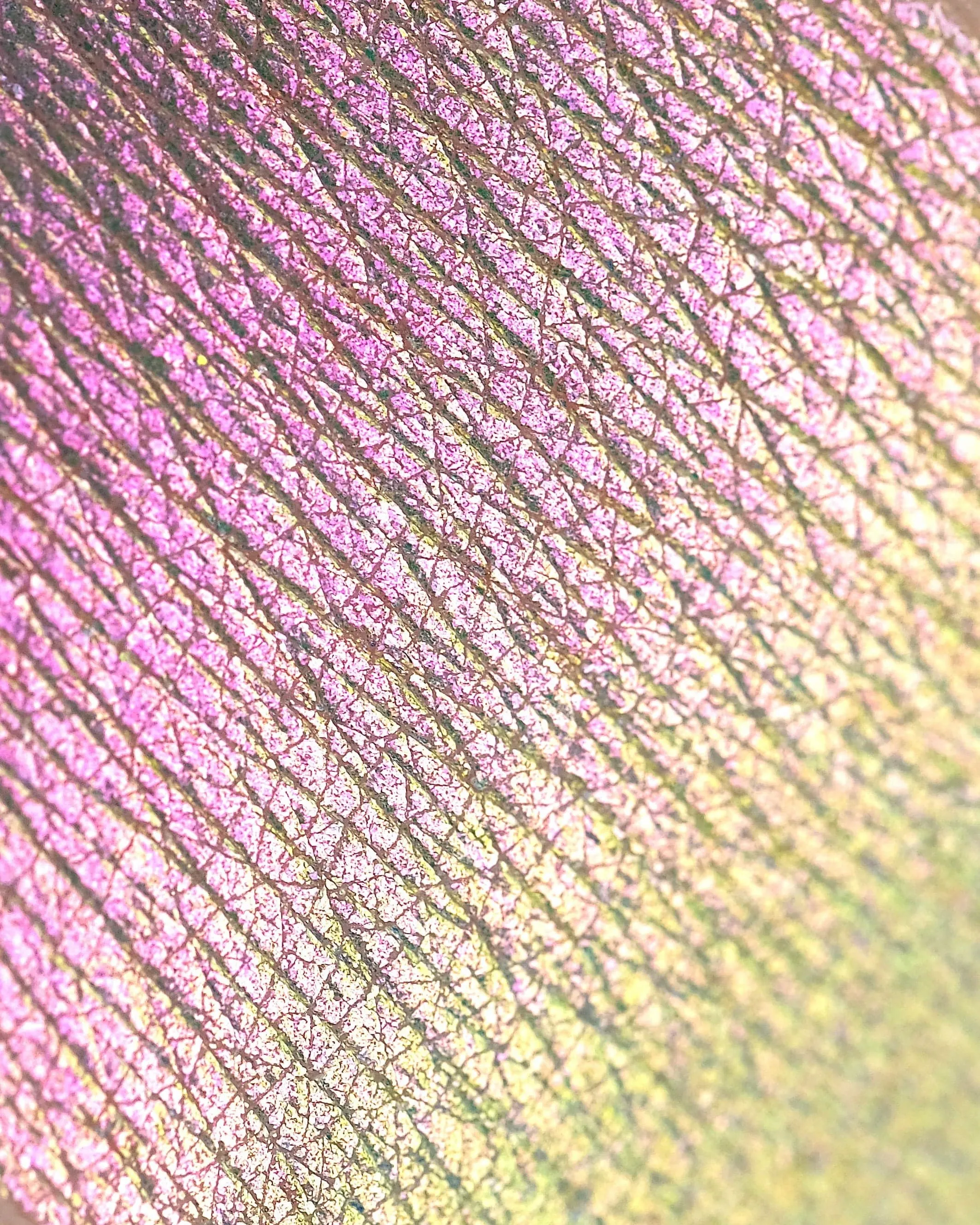 Rockabye Baby Opal Multichrome Loose Eyeshadow