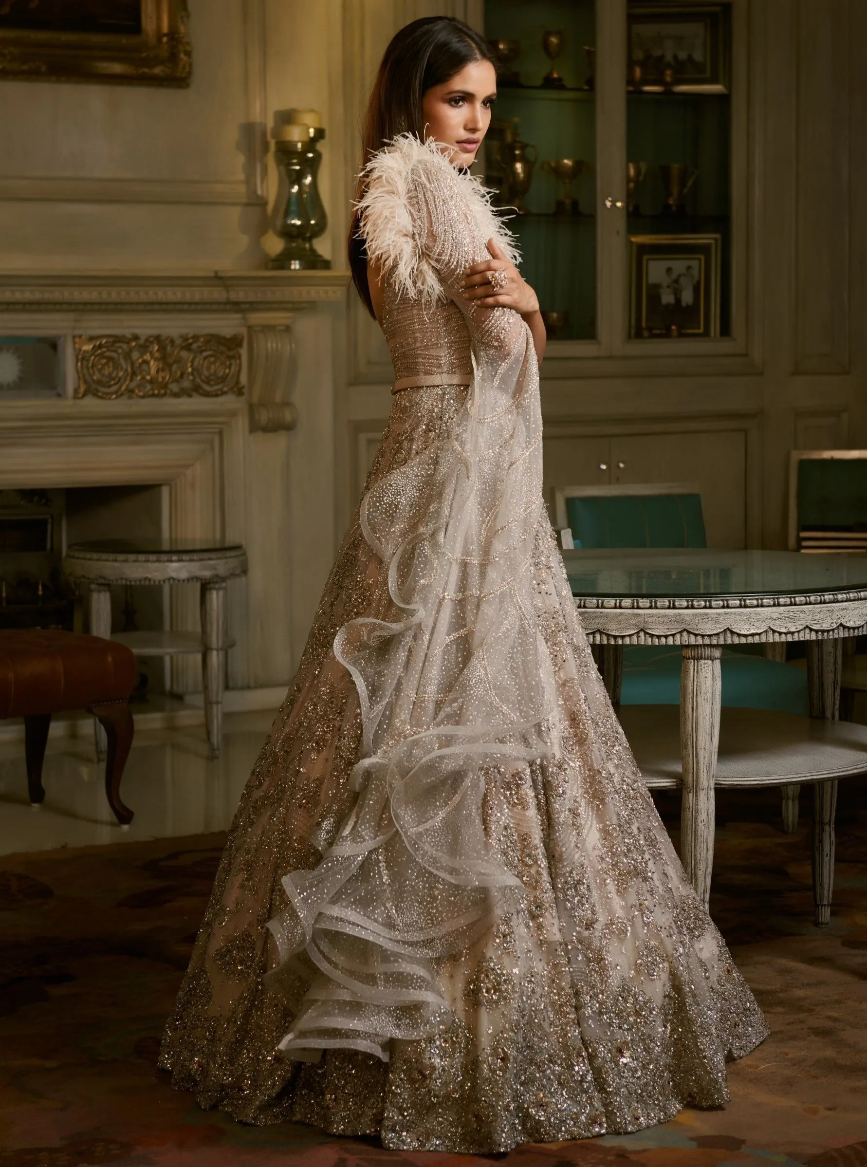 Silver Alizeh Full Length Kalidaar Gown