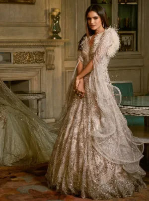 Silver Alizeh Full Length Kalidaar Gown