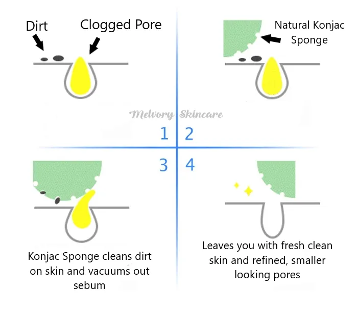 Walnut Konjac Sponge (Face & Lip Scrub)