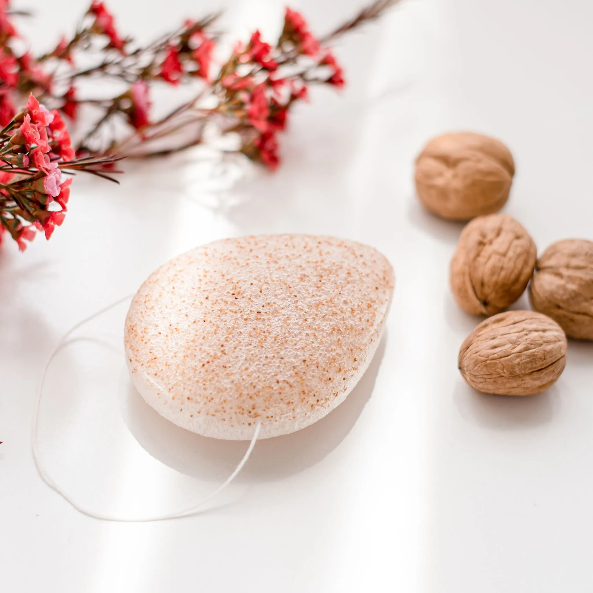 Walnut Konjac Sponge (Face & Lip Scrub)